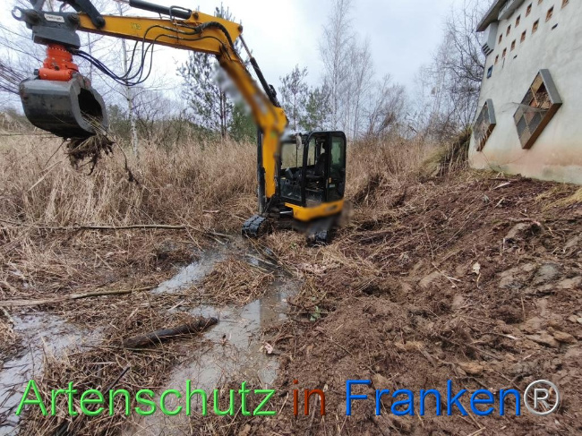 © Artenschutz in Franken® Bild zum Eintrag (1116220-160)