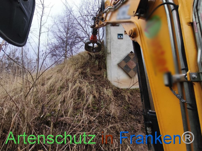 © Artenschutz in Franken® Bild zum Eintrag (1116221-160)