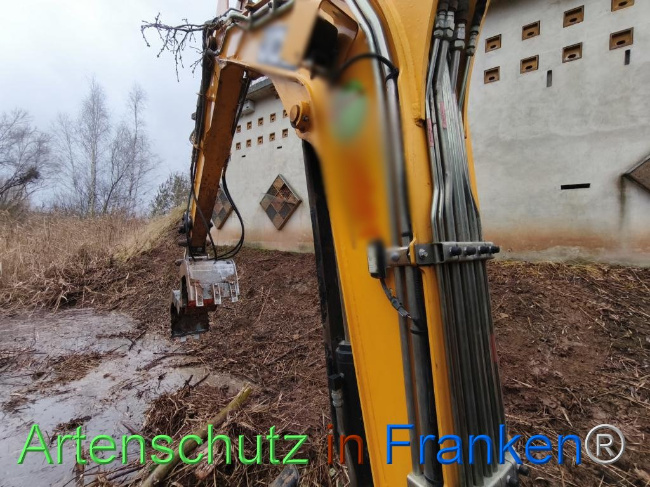 © Artenschutz in Franken® Bild zum Eintrag (1116228-160)