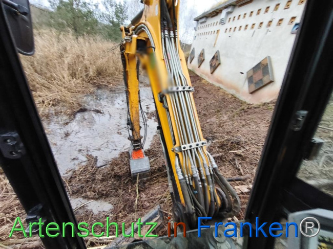 © Artenschutz in Franken® Bild zum Eintrag (1116235-160)