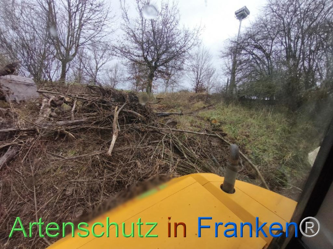 © Artenschutz in Franken® Bild zum Eintrag (1116236-160)
