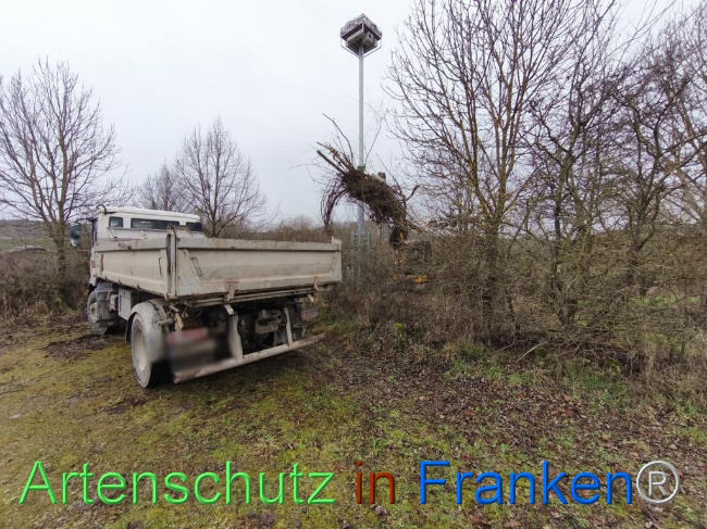 © Artenschutz in Franken® Bild zum Eintrag (1116239-160)