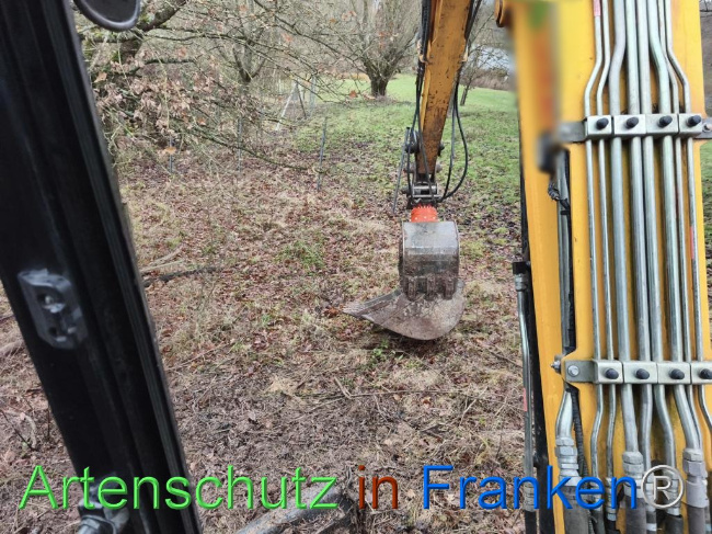 © Artenschutz in Franken® Bild zum Eintrag (1116241-160)