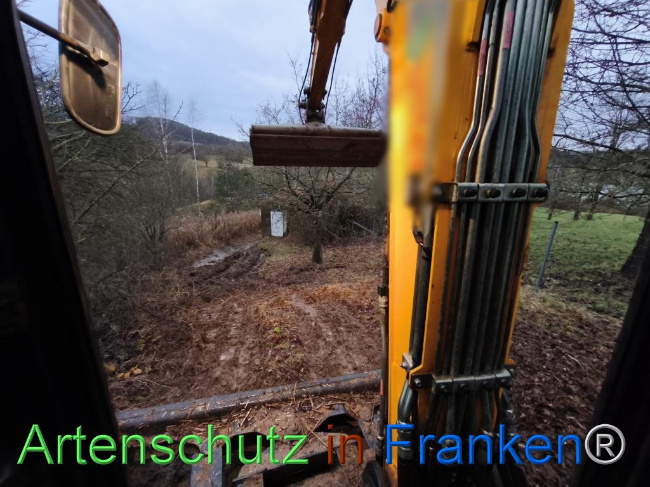 © Artenschutz in Franken® Bild zum Eintrag (1116245-160)