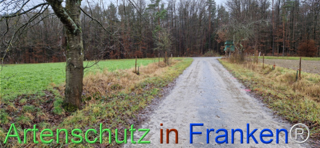 © Artenschutz in Franken® Bild zum Eintrag (1116390-160)