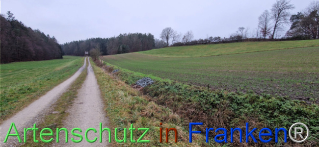 © Artenschutz in Franken® Bild zum Eintrag (1116396-160)