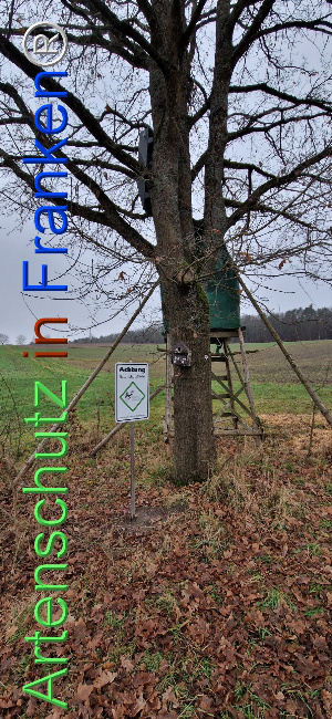 Bild zum Eintrag (1116405-160)