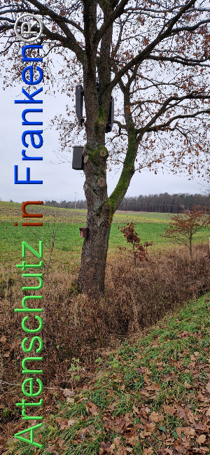 Bild zum Eintrag (1116408-160)