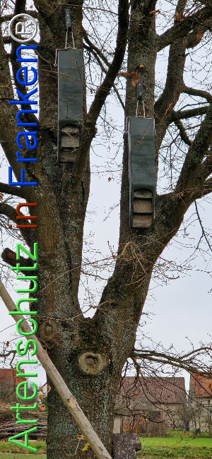 Bild zum Eintrag (1116409-160)