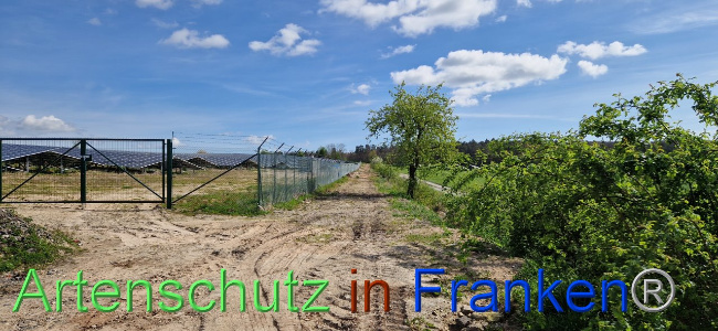 Bild zum Eintrag (1116421-160)