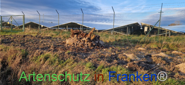 © Artenschutz in Franken® Bild zum Eintrag (1116430-160)
