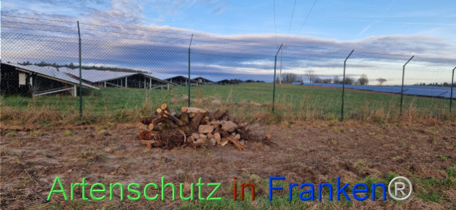© Artenschutz in Franken® Bild zum Eintrag (1116431-160)