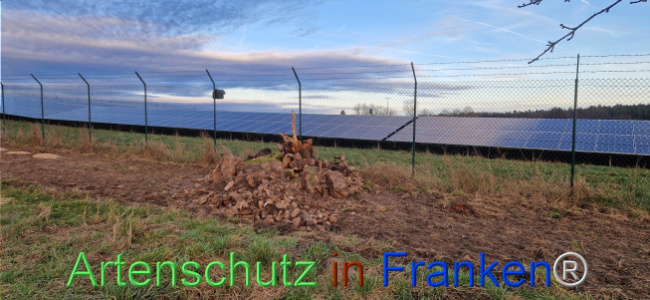 © Artenschutz in Franken® Bild zum Eintrag (1116432-160)