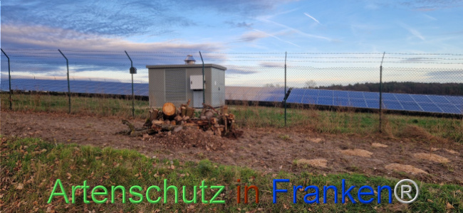© Artenschutz in Franken® Bild zum Eintrag (1116434-160)