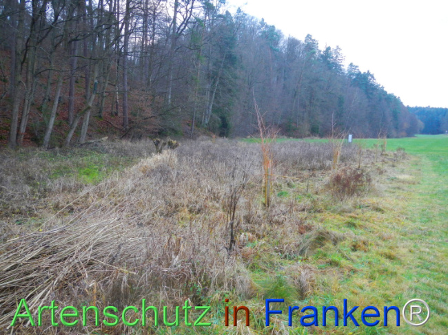 Bild zum Eintrag (1116530-160)