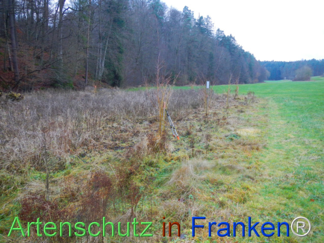 Bild zum Eintrag (1116533-160)
