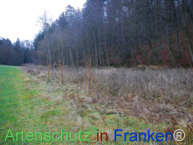 Bild zum Eintrag (1116537-160)