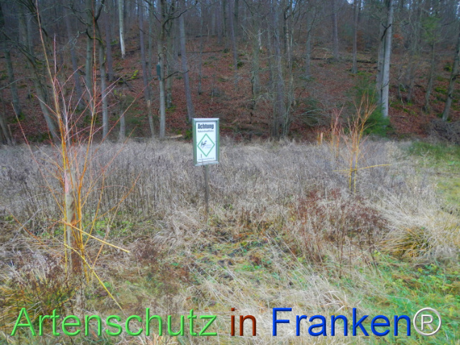 Bild zum Eintrag (1116541-160)