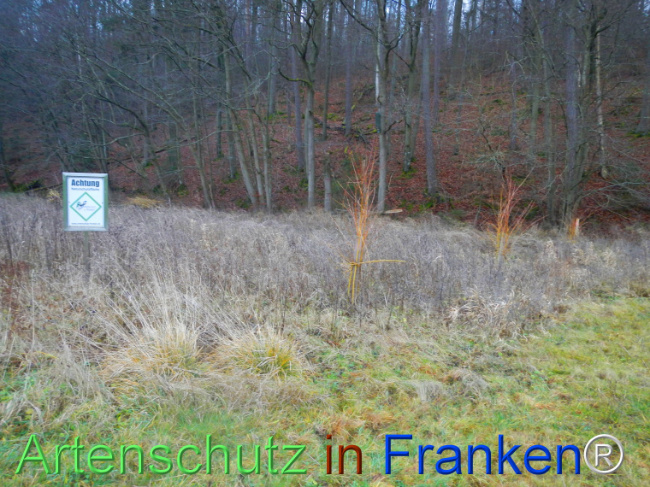 Bild zum Eintrag (1116542-160)