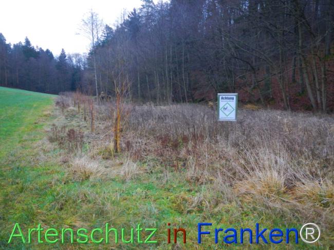 Bild zum Eintrag (1116543-160)