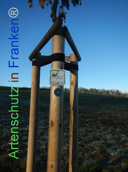 Bild zum Eintrag (1116600-160)