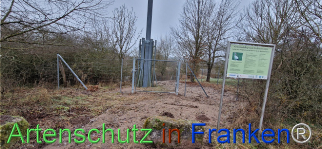 © Artenschutz in Franken® Bild zum Eintrag (1116713-160)