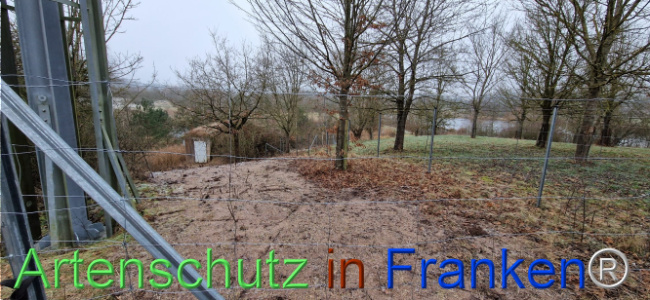 © Artenschutz in Franken® Bild zum Eintrag (1116718-160)