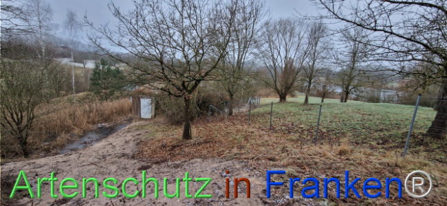 © Artenschutz in Franken® Bild zum Eintrag (1116719-160)