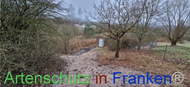 © Artenschutz in Franken® Bild zum Eintrag (1116721-160)