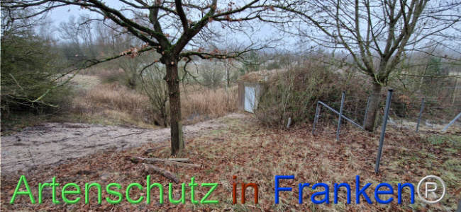 © Artenschutz in Franken® Bild zum Eintrag (1116722-160)