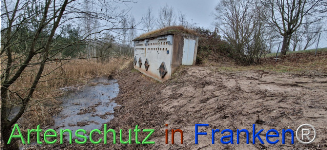 © Artenschutz in Franken® Bild zum Eintrag (1116726-160)