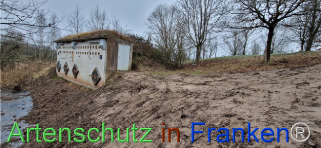 © Artenschutz in Franken® Bild zum Eintrag (1116727-160)