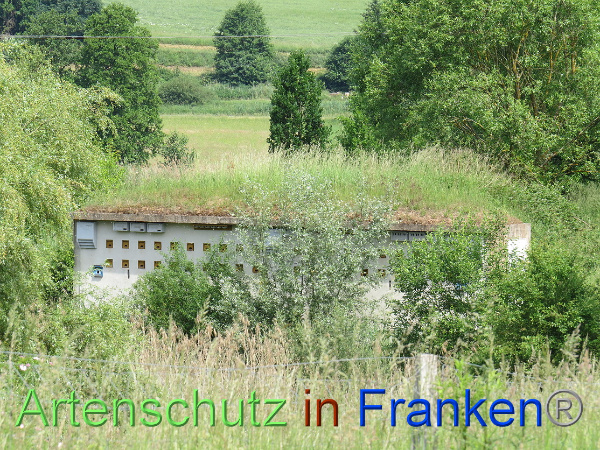 Bild zum Eintrag (1116729-160)