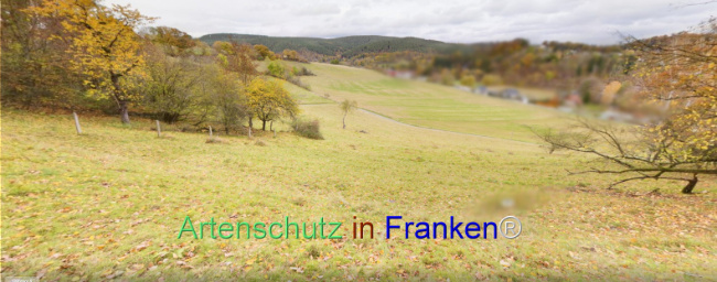 © Artenschutz in Franken® Bild zum Eintrag (1117011-160)