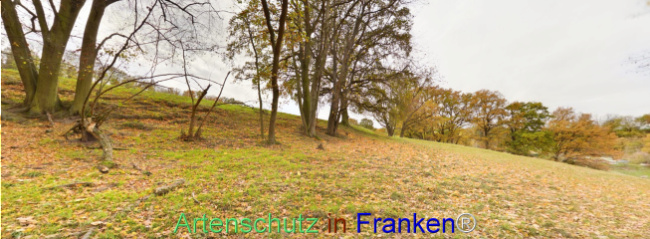 Bild zum Eintrag (1117017-160)