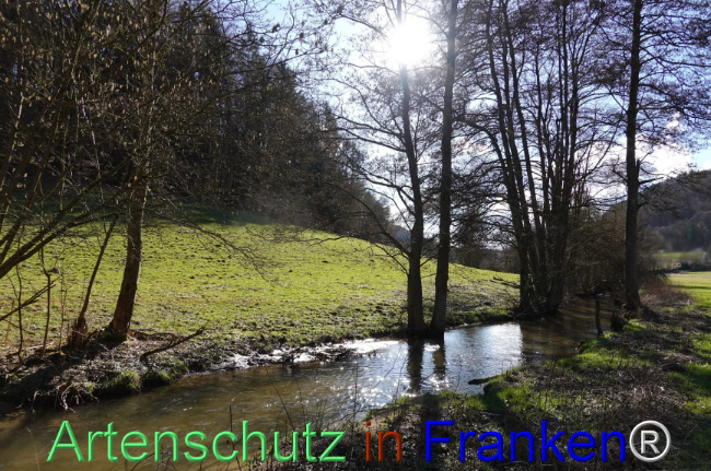Bild zum Eintrag (1117033-160)