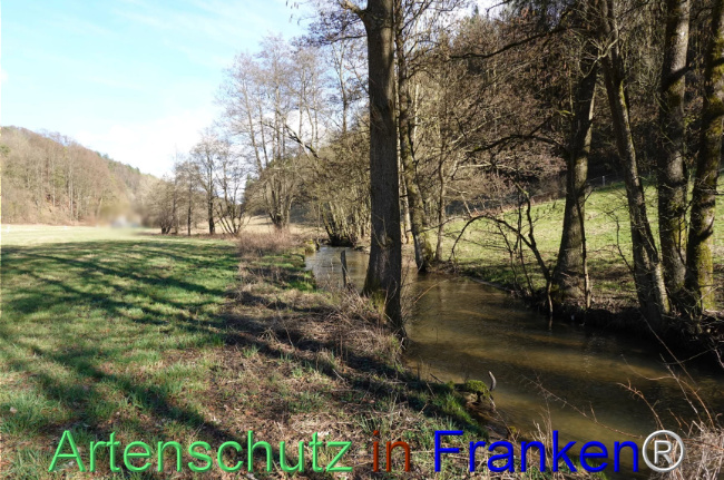 Bild zum Eintrag (1117036-160)