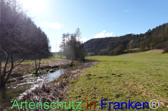 Bild zum Eintrag (1117041-160)