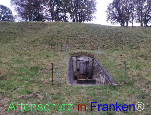Bild zum Eintrag (1117051-160)