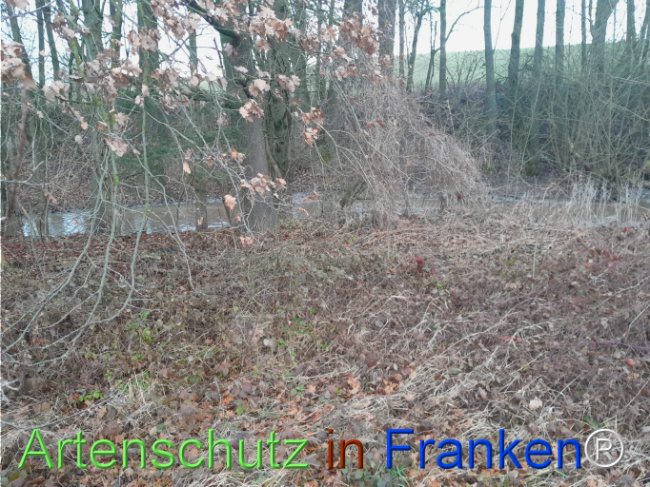Bild zum Eintrag (1117220-160)