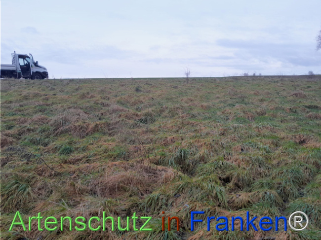 Bild zum Eintrag (1117222-160)