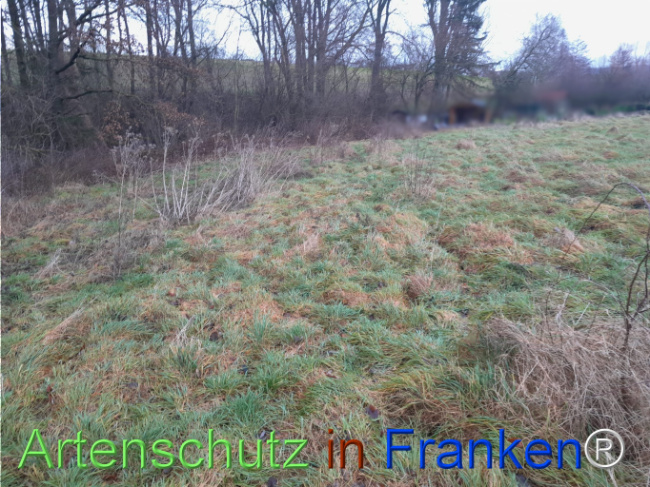 Bild zum Eintrag (1117223-160)