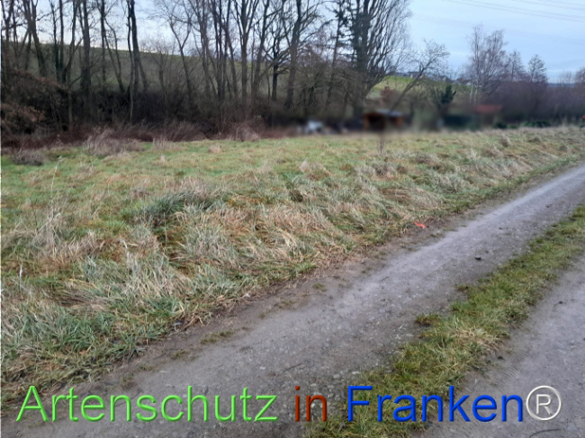 Bild zum Eintrag (1117224-160)