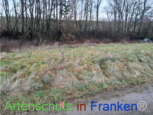 Bild zum Eintrag (1117225-160)