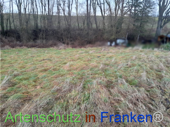 Bild zum Eintrag (1117230-160)