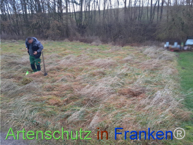 Bild zum Eintrag (1117231-160)