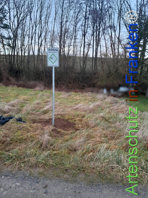 Bild zum Eintrag (1117232-160)