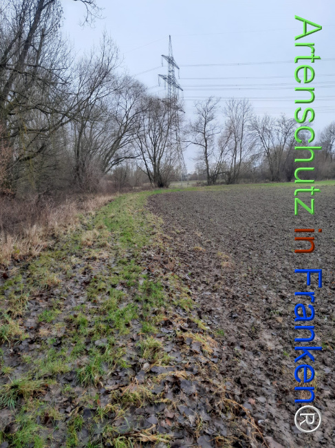 Bild zum Eintrag (1117238-160)