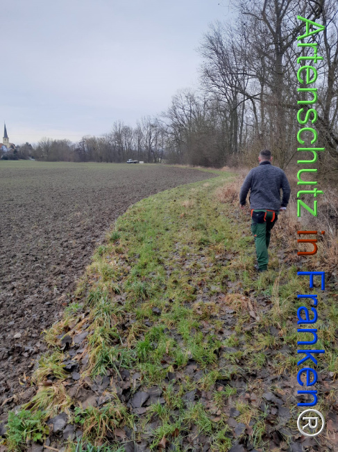 Bild zum Eintrag (1117239-160)
