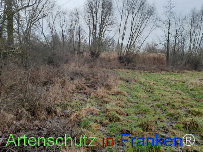 Bild zum Eintrag (1117240-160)